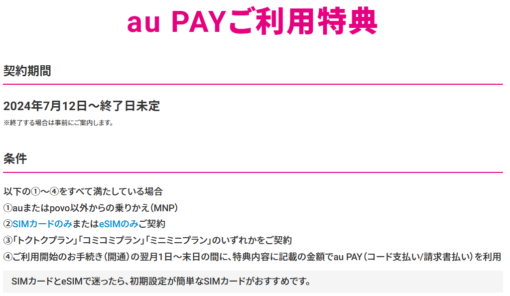 auPay 2000円クーポン